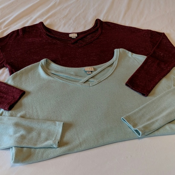 a new day Tops - EUC Bundle of 2 A New Day Tops!